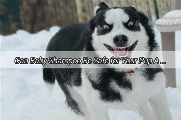 Can Baby Shampoo Be Safe for Your Pup A Gentle Guide to Pet Bathing